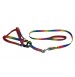 Scoobee Dog Multicolor Padded Nylon Harness And Leash Set 0.75 Inch Petshop18.com